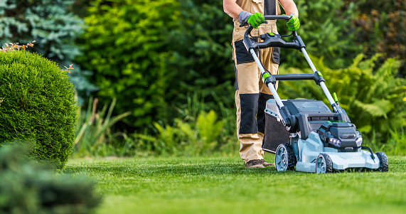 mature adult man mows the grass in the garden with a lawn mower