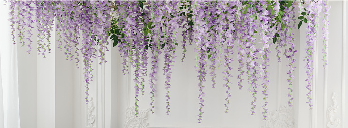 Purple color beautiful Flowers hanged from ceiling