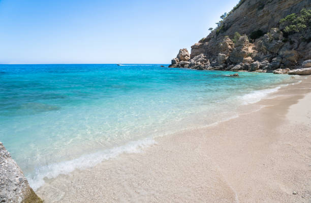 istock Cala Mariolu beach, Sardinia, Italy 1264146155