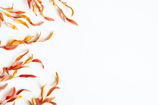 istock Autumn composition. Red leaves on white background. Autumn, fall, thanksgiving day concept. Flat lay, top view 1264146923