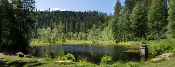 Panorama of the lake Ellbachsee in the Black Forest, Germany, between Freudenstadt Kniebis and Baiersbronn Mitteltal