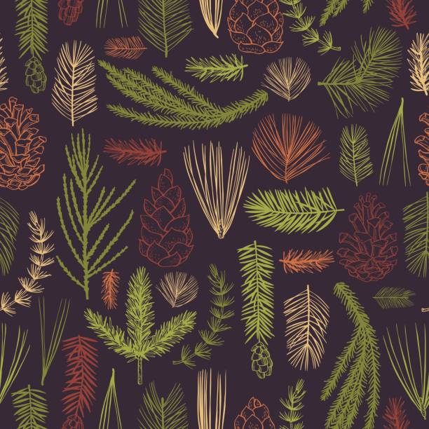 Vector   pattern with Christmas plants Vector  seamless pattern with hand drawn branches and cones of coniferous trees. Christmas plants. christmas background illustrations stock illustrations
