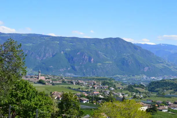 Appiano in South Tyrol