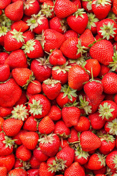 istock Freshly harvested Red Strawberries, Juicy Strawberries directly above 1264150314