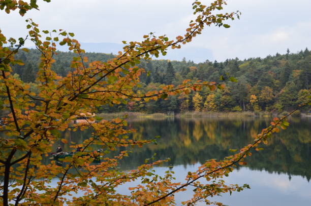 istock Autumn in Southtyrol 1264152680