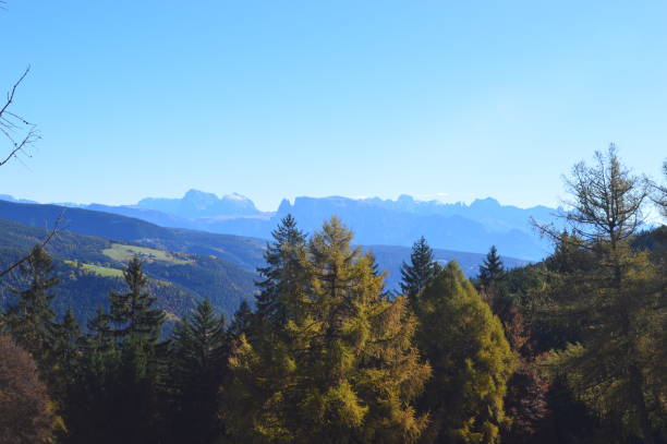 istock Autumn in Southtyrol 1264153381