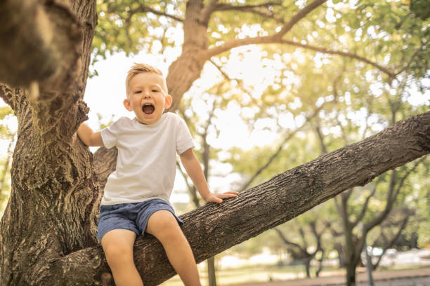 istock Excited adventurous little boy sitting in a tree. Childhood fun concept. 1264155339