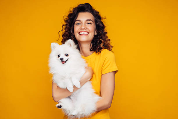 istock Beautiful woman holding spitz dog on her hands 1264157883