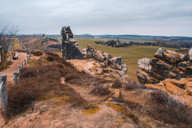 istock Beautiful wild landscape at German National Park 1264158276