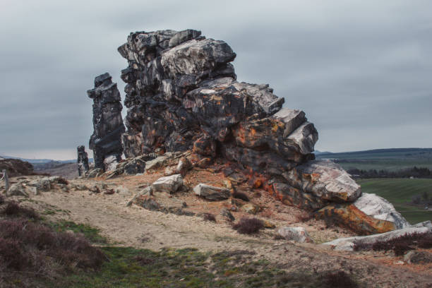 istock Beautiful wild landscape at German National Park 1264158280