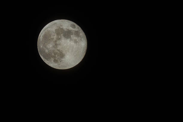 istock Flower full supermoon - May 2020 - London, UK 1264159296