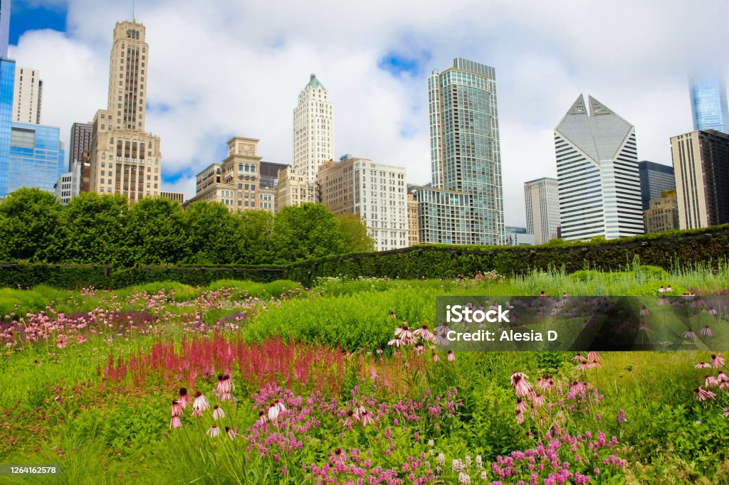 Chicago Lurie Garden, Millennium Park, The Loop in Chicago, IL, United States Chicago - Illinois Stock Photo