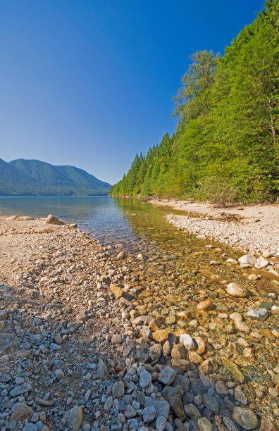 istock Calm Stream Emptying into an Alpine Lake 1264163482