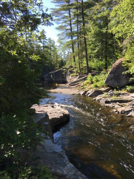 istock River bed exploration in Maine 1264166560