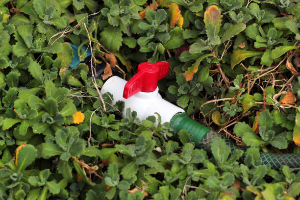 Plastic hose and valve of sprinkler system in a garden