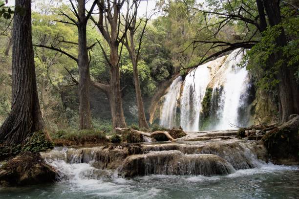 istock The Waterfall Sigh, The Chiflon, Chiapas 1264167796