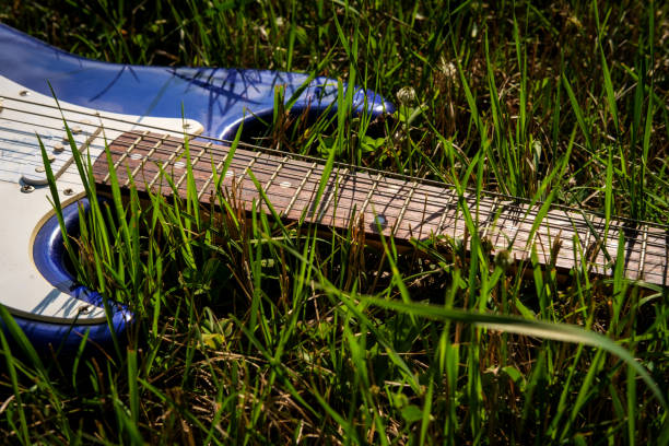 istock Electric Guitar Summer Grass 1264168618