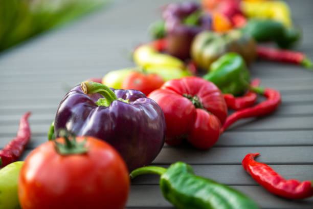 Backyard patio table topped with fresh tomatoes, peppers, bell peppers and chile peppers.