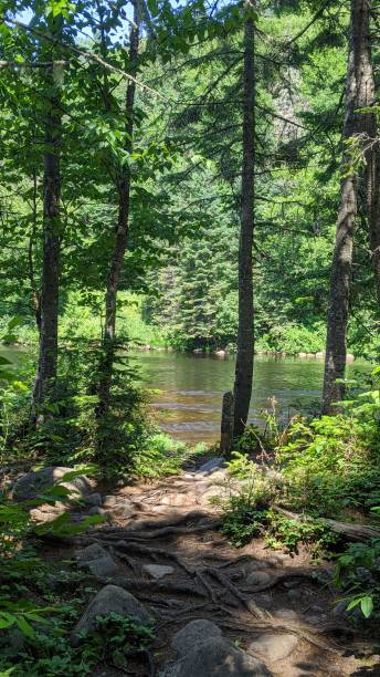 istock Jacques Cartier National Park Trail (ph1) 1264174247