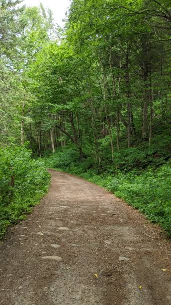 istock Jacques Cartier National Park Trail (ph9) 1264174279