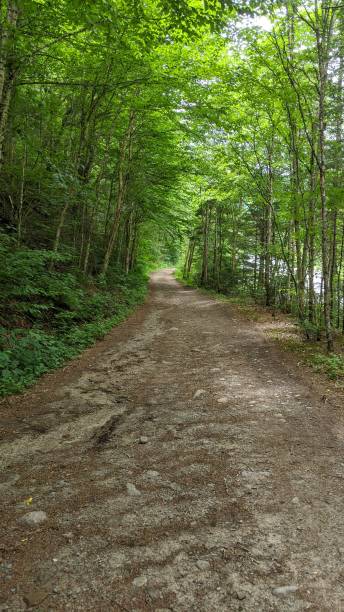 istock Jacques Cartier National Park Trail (ph10) 1264174296