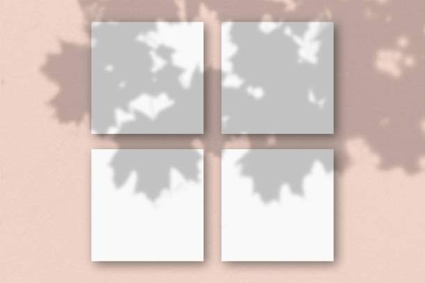 istock 4 square sheets of white textured paper on the pink wall background. Mockup overlay with the plant shadows. Natural light casts shadows from an exotic plant. Flat lay, top view 1264176712
