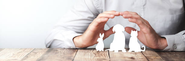 Pet Care And Insurance Concept