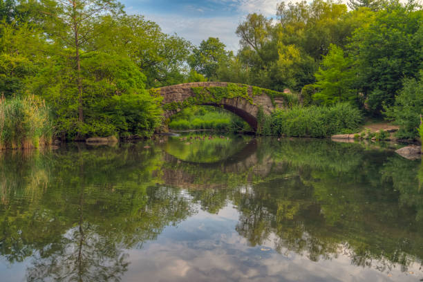 istock Gapstow Bridge in Central Park 1264177851