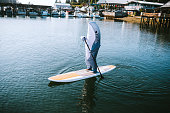 Great White Shark Riding on Paddleboard