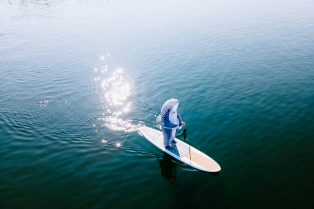 Great White Shark Riding on Paddleboard A person wearing a generic great white shark inflatable costume goes paddleboarding in the harbor.  A funny playful twist on shark and human interaction. irony stock pictures, royalty-free photos & images