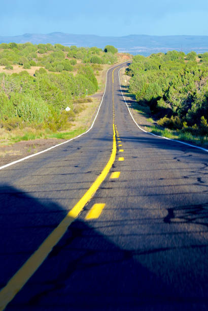 istock Historic Route 66, Arizona 1264178797