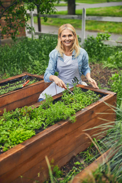 istock Smiling middle-aged woman using a garden tool 1264183300