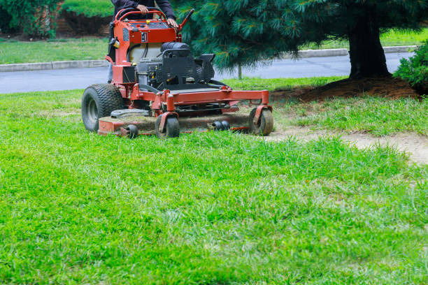 istock Gardening activity, lawn mower cutting the grass. 1264184688