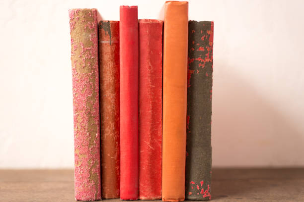 istock Group Antique Red and Orange Books Standing 1264186470