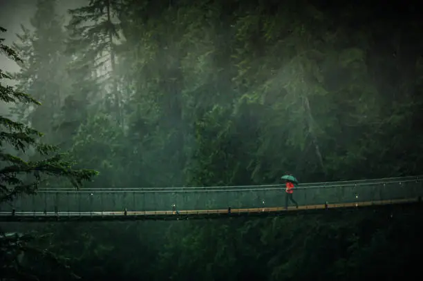 Photo of Capilano Suspension Bridge