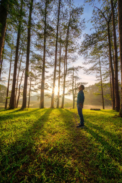 istock Me travel and explore the pine tree forest in Da Lat 1264192349
