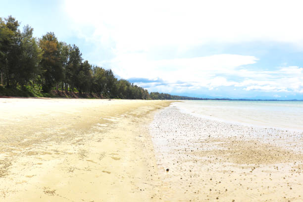 istock lonely beach in tragedy 1264195137