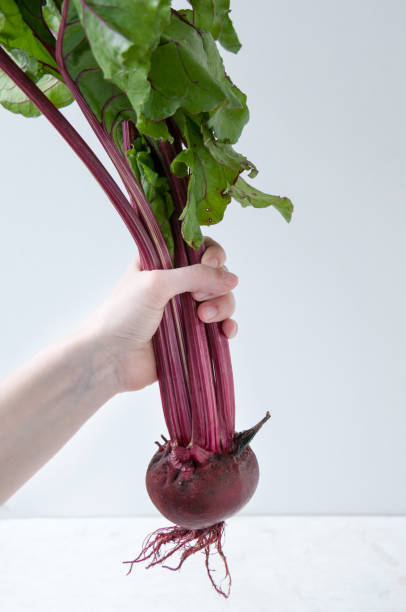 istock Hand holding the tops of young beets 1264195241