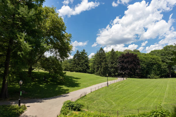 istock Empty Path with Green Grass at Central Park during Summer in New York City on a Beautiful Day 1264201404