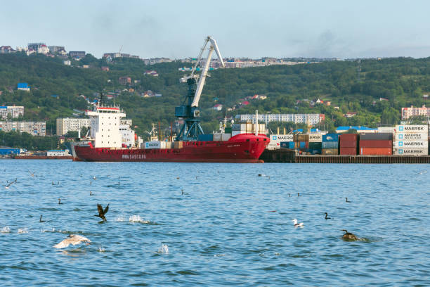 Russian cargo container ship Sasco Angara Sakhalin Shipping Company at pier container terminal commercial sea port on coast of Pacific Ocean. Kamchatka Peninsula, Russian Far East - September 5, 2018.