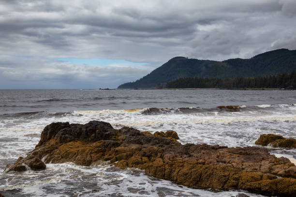 istock Raft Cove, British Columbia, Canada 1264205902