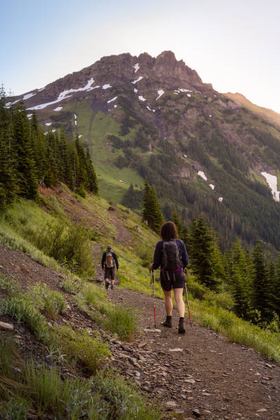 istock Hiking in Canadian Mountain Landscape 1264205946