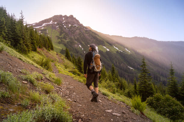 Adventurous Man Hiking in the Canadian Mountains during a sunny summer morning. Taken on the Trail to Cheam Peak in Chilliwack, East of Vancouver, British Columbia, Canada.