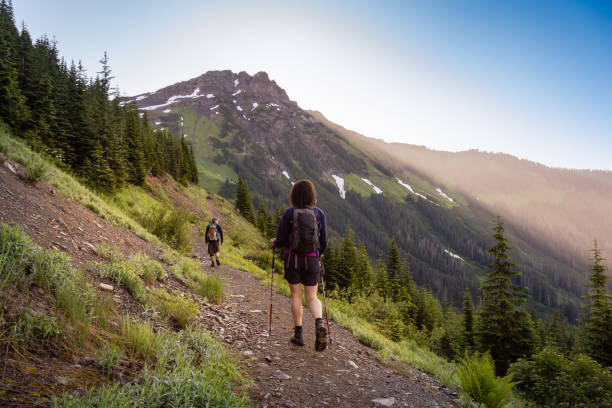istock Hiking in Canadian Mountain Landscape 1264205961