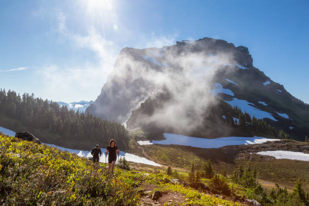 istock Hiking in Canadian Mountain Landscape 1264205998
