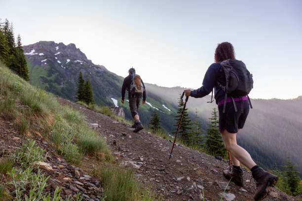istock Hiking in Canadian Mountain Landscape 1264206006