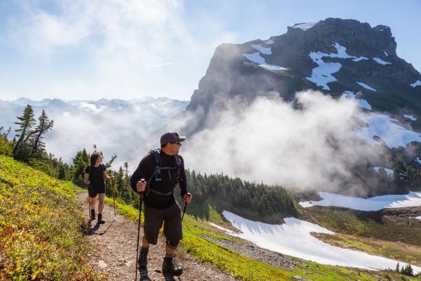 istock Hiking in Canadian Mountain Landscape 1264206053