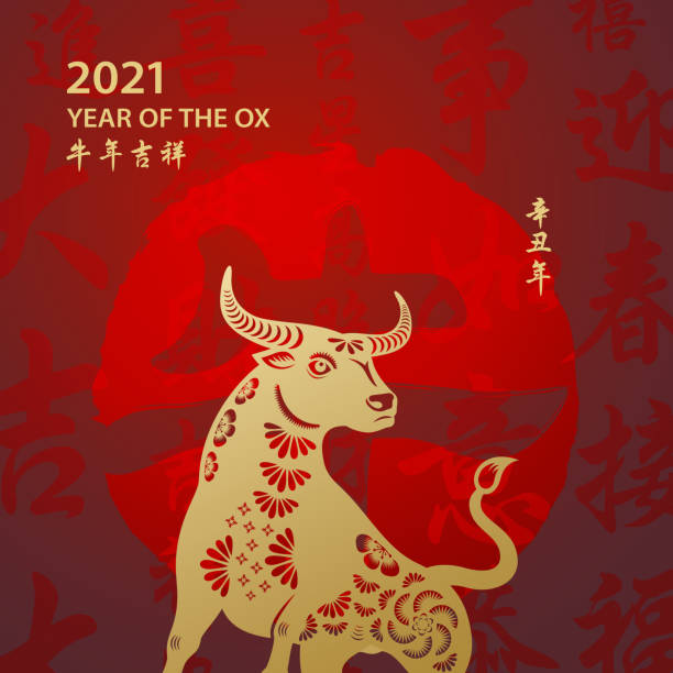 Celebrate the Year of the Ox 2021 with gold colored ox paper art and red stamp on the red Chinese language background, the background red stamp means ox, the horizontal Chinese phrase means wish you luck in the year of the ox and the vertical Chinese phrase means Year of the Ox according to Chinese lunar calendar