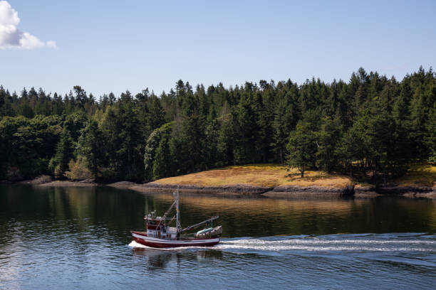 istock View of Beautiful Gulf Islands during a sunny day. 1264206231