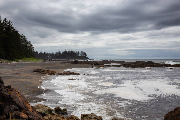 istock Raft Cove, British Columbia, Canada 1264206278